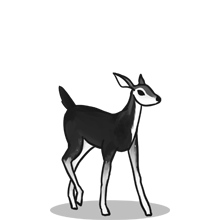 完整功能解锁的{固定网站名称23}