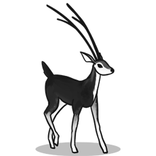 网页短信轰炸机