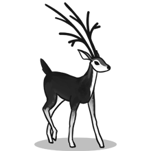 云呼短信测压网页版